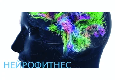 Антон Шапочка Нейрофитнес. Основы. Восстанавливаем тело и нервную систему 2023 слив