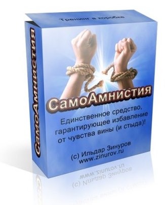 СамоАмнистия - Гарантированное Избавление от Чувства Вины. Ильдар Зинуров слив курса