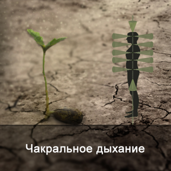 Ксения Меньшикова Чакральное дыхание 2022 слив курса