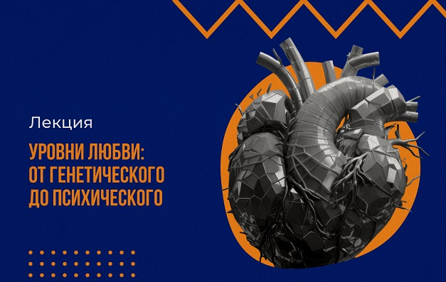 Вячеслав Дубынин vabrain Уровни любви: от генетического до психического 2024 слив курса