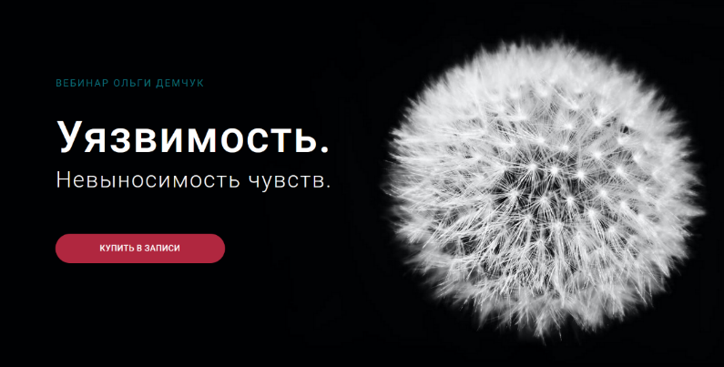 Ольга Демчук Уязвимость. Невыносимость чувств 2023 слив курса
