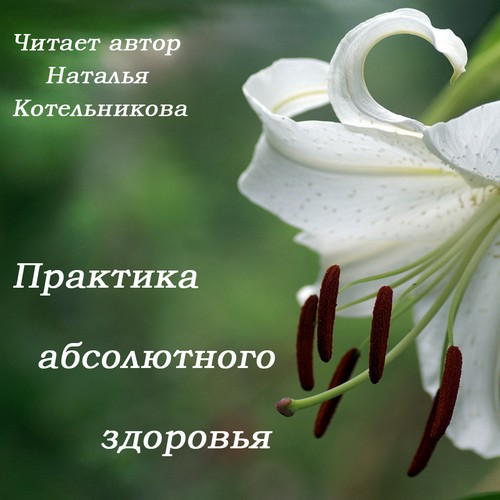 Практика абсолютного здоровья - Котельникова 2015 слив курса