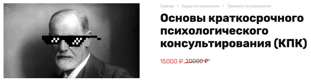 Василий Смирнов КПК Основы краткосрочного психологического консультирования 2024 слив курса
