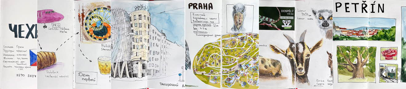 Lectoroom Татьяна Быкова ― Дневник путешественника 2024 слив курса