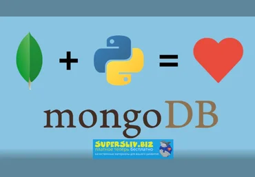 Talkpython MongoDB для Python разработчиков 2019 слив