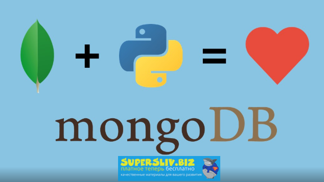 Talkpython MongoDB для Python разработчиков 2019 слив курса