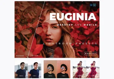 Elements.Envato Euginia Desktop and Mobile Lightroom Preset 2021 скачать слив