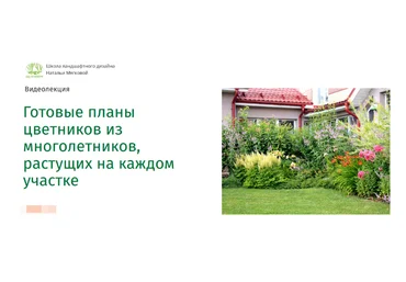 Наталья Мягкова Готовые планы цветников из многолетников, растущих на каждом участке 2022 слив