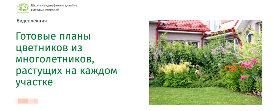 Наталья Мягкова Готовые планы цветников из многолетников, растущих на каждом участке 2022 слив курса