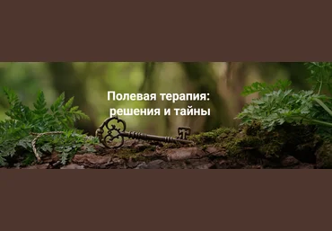 Институт Открытого поля Елена Веселаго ― Полевая терапия: решения и тайны 2025 скачать слив