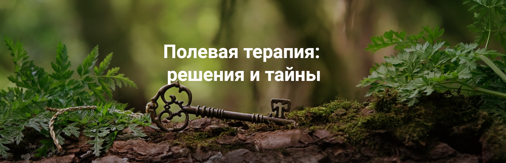 Институт Открытого поля Елена Веселаго ― Полевая терапия: решения и тайны 2025 слив курса