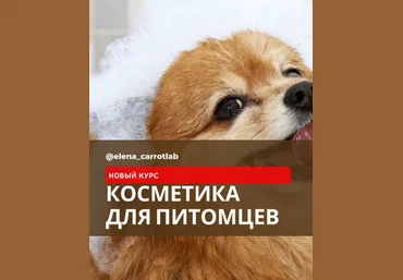 Елена Золотухина Косметика Косметика для питомцев 2024 слив