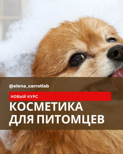 Елена Золотухина Косметика Косметика для питомцев 2024 слив курса