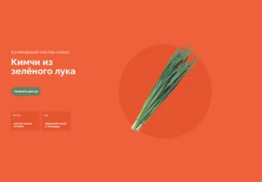 Ferment in Wonderland Мария Сочилкина - Кимчи из зелёного лука 2023 слив