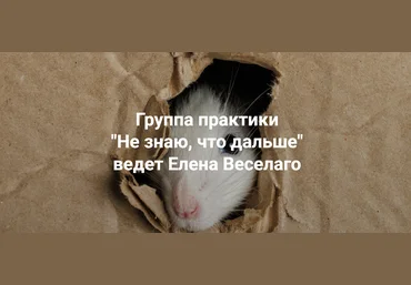 Институт открытого поля Елена Веселаго ― Не знаю, что дальше 2024 скачать слив