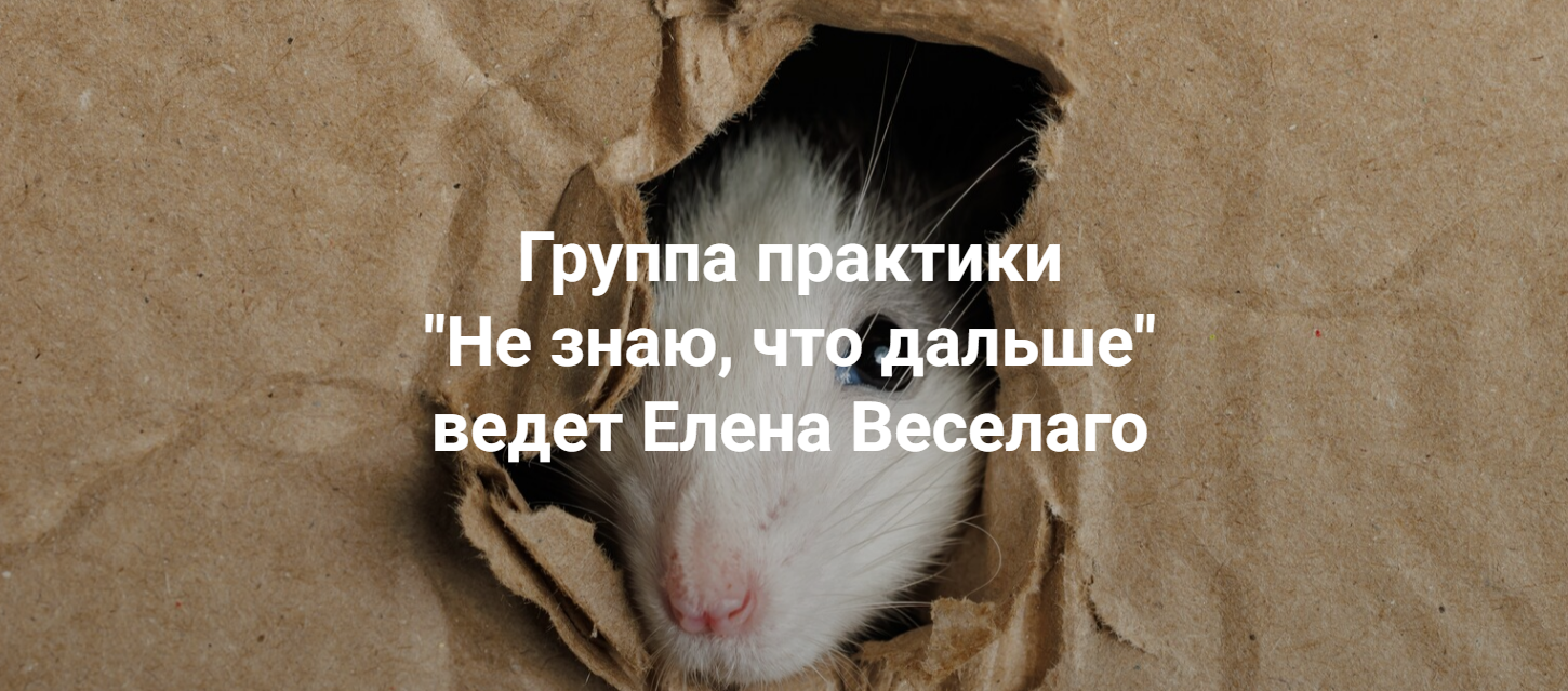 Институт открытого поля Елена Веселаго ― Не знаю, что дальше 2024 слив курса