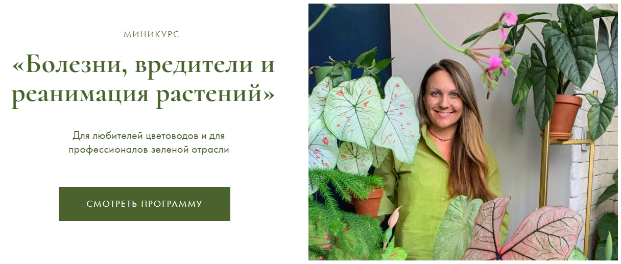 Ксения Занина Болезни, вредители и реанимация растений 2024 слив курса