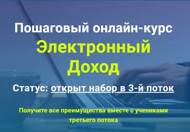 Егор Лобанов Электронный доход. Пакет Золото 2020 слив