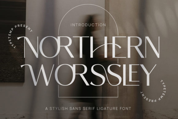 Creativefabrica Northern Worssley Font слив курса