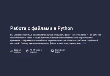 Антон Щербак Stepik Работа с файлами в Python 2024 слив