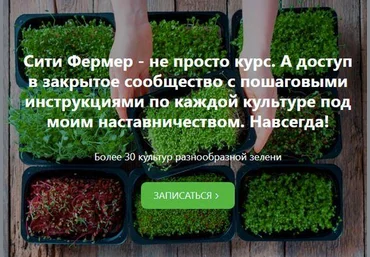 Михаил Попов Сити Фермер: Свежая микрозелень у вас дома за одну неделю 2021 слив
