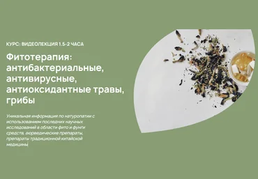 А. Родионова Фитотерапия: антибактериальные, антивирусные, антиоксидантные травы, грибы 2023 слив