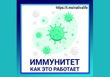 Виктория Самира nativalife Иммунитет: как это работает. Биологика. Физиология 2024 скачать слив