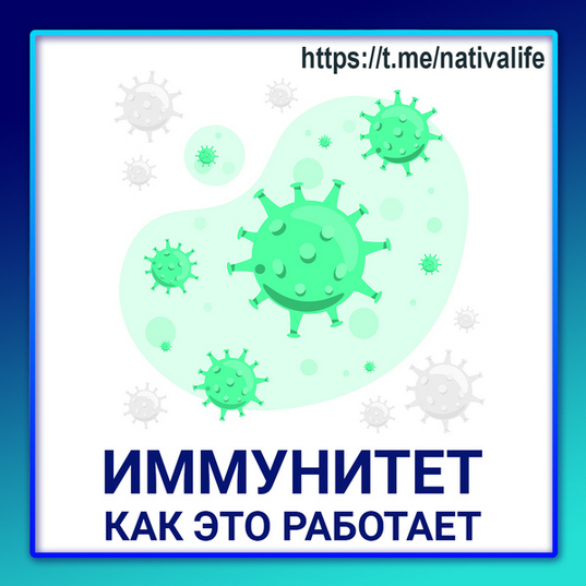 Виктория Самира nativalife Иммунитет: как это работает. Биологика. Физиология 2024 слив курса