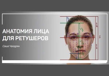 Саша Чалдрян Анатомия лица для ретушеров скачать слив