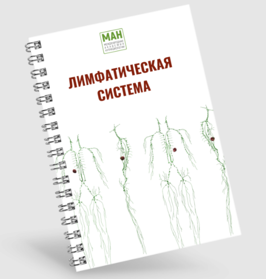 Международная Академия Нутрициологии Гайд по работе с лимфой 2024 слив курса