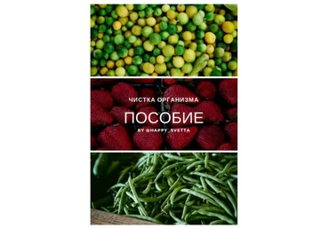 Happy_svetta Чистка организма. Пособие 2021 слив