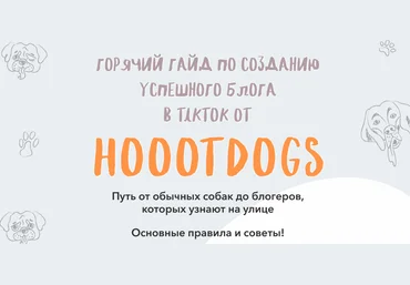Hoootdogs Гайд по созданию успешного блога в TikTok 2020 слив