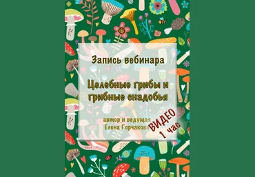 Елена Горчакова Медвежий угол Целебные грибы и грибные снадобья 2023 слив