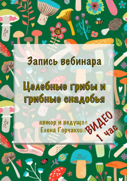 Елена Горчакова Медвежий угол Целебные грибы и грибные снадобья 2023 слив курса