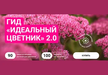 Марина Берестова Гид «Идеальный цветник» 2.0 2024 слив