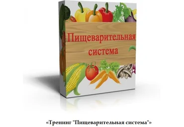 Пищеварительная система и все о еде - Свербхина слив