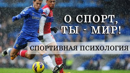 Спортивная психология. Наука достижений слив курса