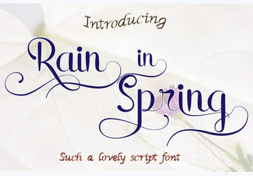 Creativefabrica Rain in Spring Font слив