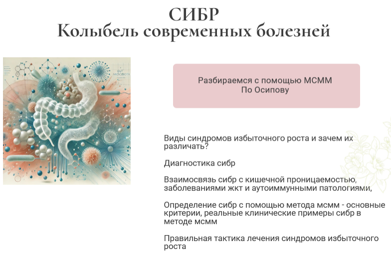Святослав Безродный, Ирина Хисамова СИБР. Колыбель современных болезней. Тариф Базовый 2025 слив курса