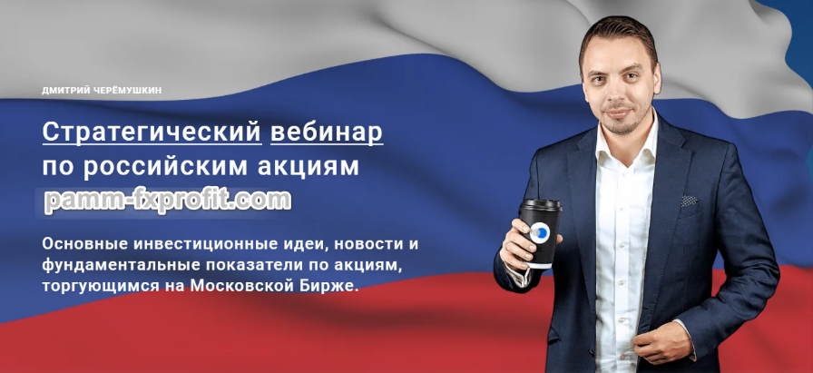 Дмитрий Черемушкин Стратегический вебинар по российским акциям Декабрь 2022 слив курса