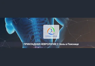 Мария Недре Центр Практика Прикладная неврология 2: боль в пояснице 2025 скачать слив