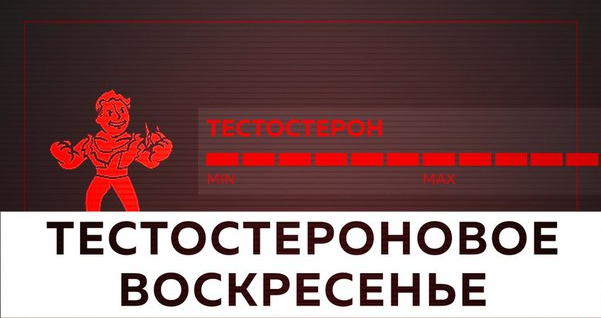 Тестостероновое воскресенье 2017 - Михаил Рысак слив курса