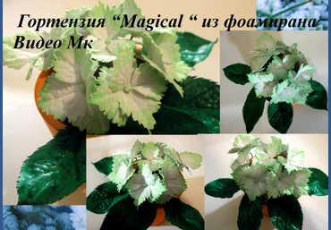 Гортензия Magical из фоамирана - Мирсанова 2016 слив