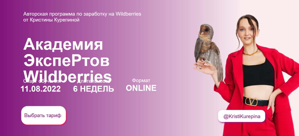 Кристина Курепина Академия экспертов Wildberries. Тариф Премиум 2023 слив курса