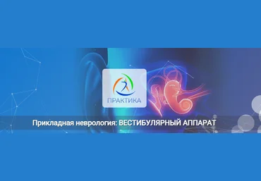 Мария Недре Центр Практика Прикладная неврология. Вестибулярный аппарат 2024 слив