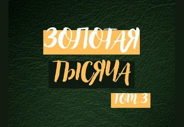 vasilinfo Василина Баранова ― Золотая тысяча. Том 3 2025 скачать слив