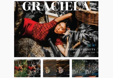 Elements.Envato Graciela Mobile and Desktop Lightroom Presets 2021 скачать слив
