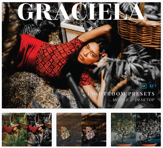 Elements.Envato Graciela Mobile and Desktop Lightroom Presets 2021 слив курса