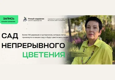 Дмитрий Звонка, Ольга Никитина Умный садовник Сад непрерывного цветения 2024 скачать слив