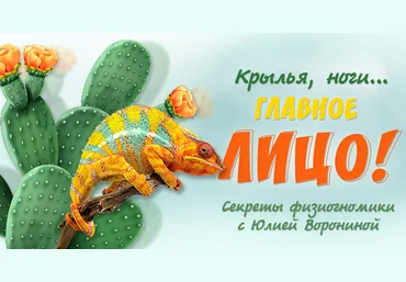 Юлия Воронина Крылья, ноги… главное лицо! Секреты физиогномики 2022 слив